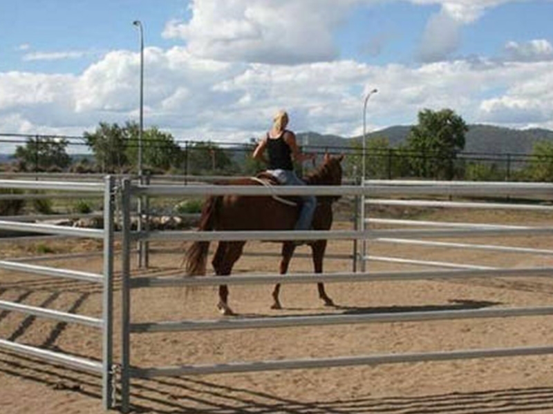 Galvanized Heavy Duty Horse Fencing