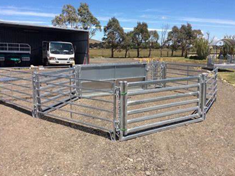 Sheep Fencing & Panels